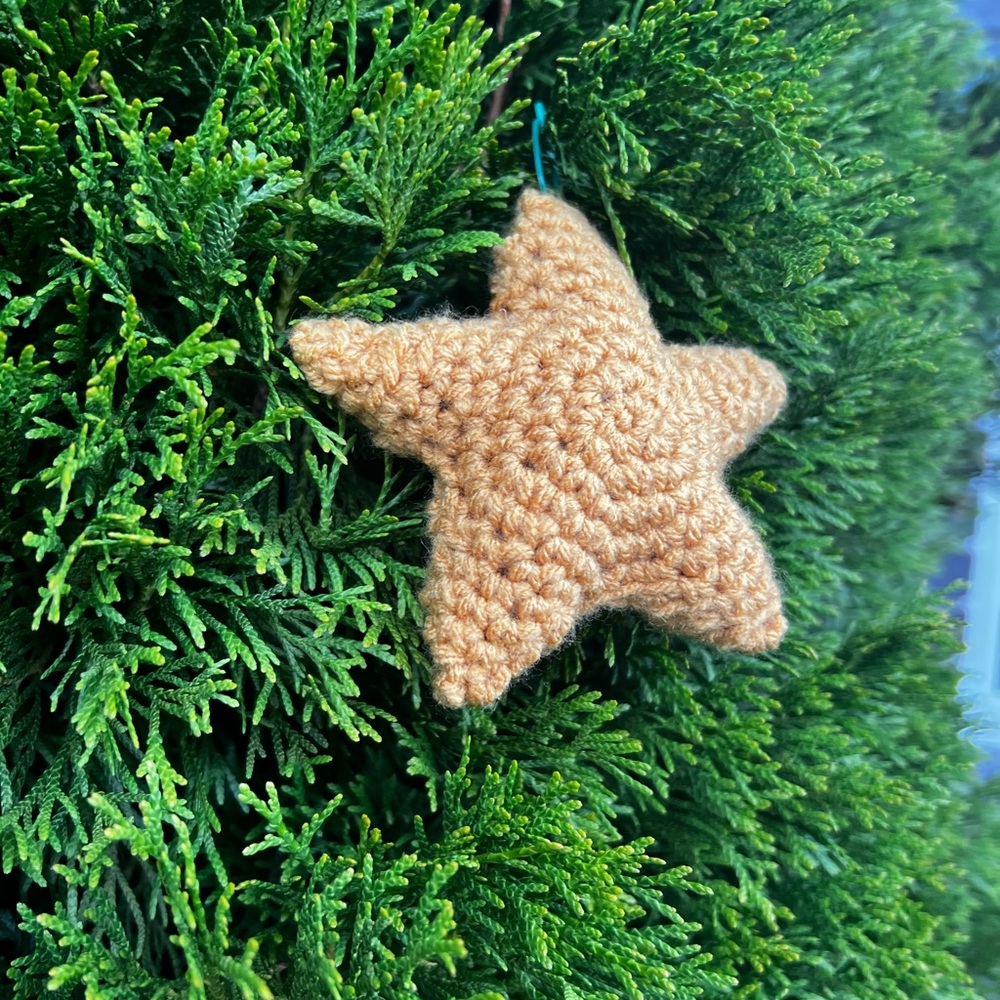 Hand Crocheted 5 Inch Christmas Star Ornament Made With Love! - Picture 11 of 11